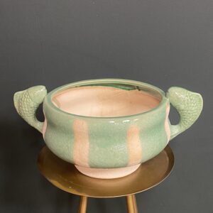 stenen schaal met vis detail