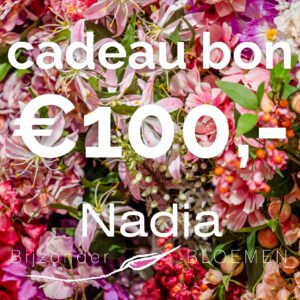 Cadeau bon €100,-