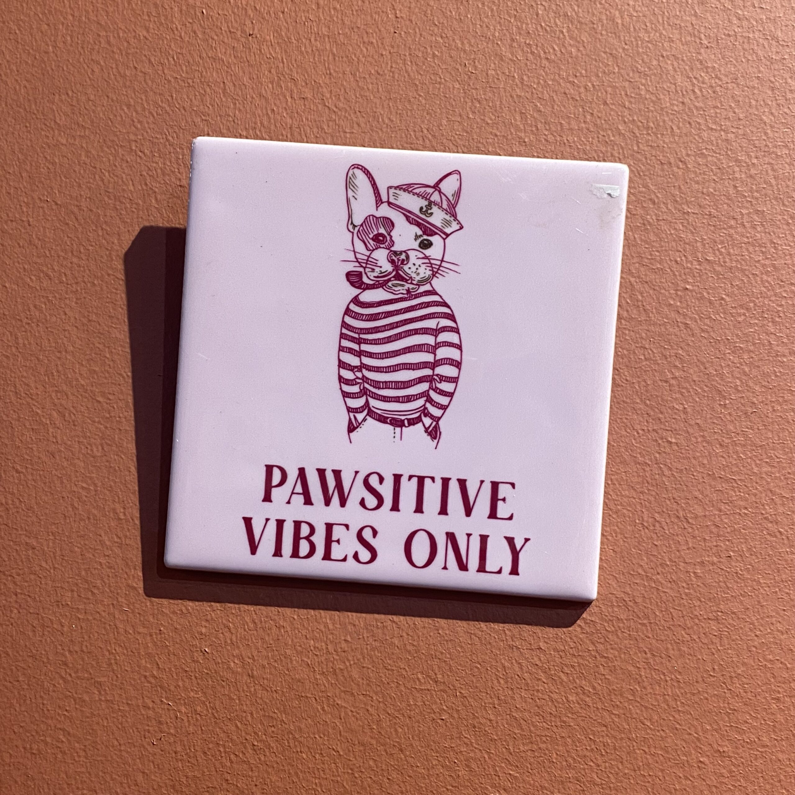 Tegeltje – Pawsitive vibes only